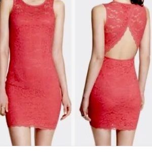 Express Coral Lace Open Back Dress